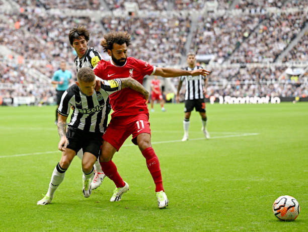 经纪人可以 经纪人可以